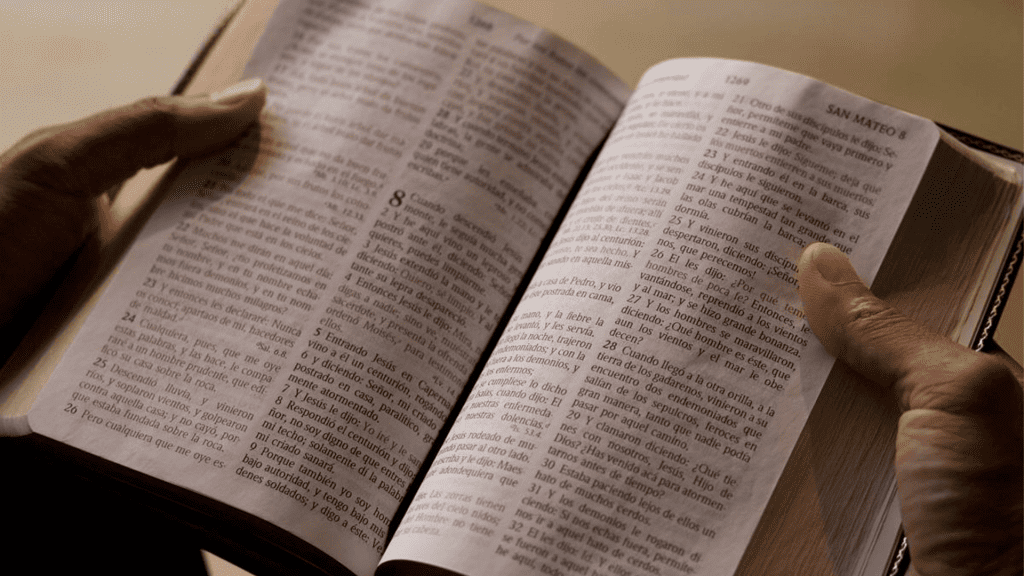 Versículos Bíblicos sobre la caridad