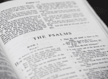 Historia y función del libro de los Salmos