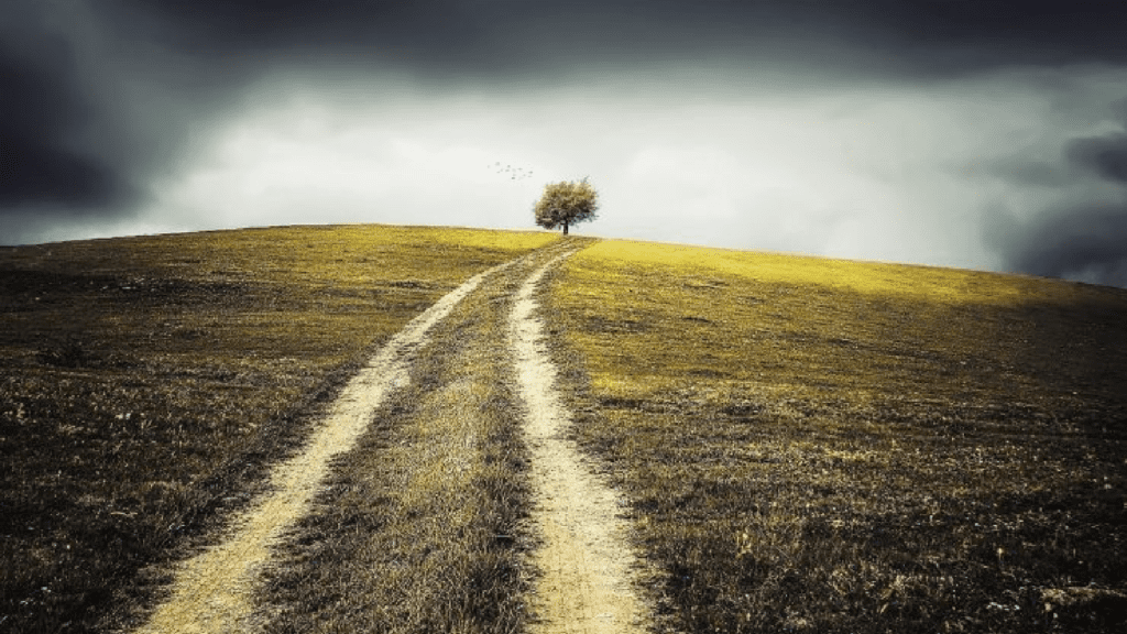 Cómo entender las formas en las que Dios nos guía