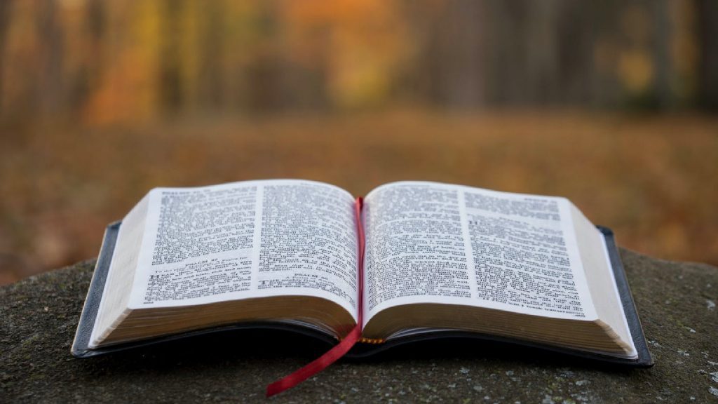 Por dónde empezar a leer la Biblia